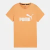 Puma Essentials Logo Tee